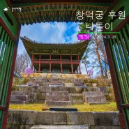 서울 가볼 만한 곳-초봄의 창덕궁 후원