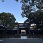 [도쿄] 4일차 아사쿠사, 메이지신궁, 신주쿠, 가부키쵸