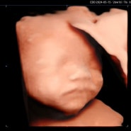 [임신일기] 임신 26 - 27주, 임당검사, 입체초음파, 첫 베이비페어 :)