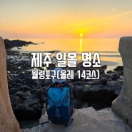 제주 일몰 명소 월령포구의 그림같은 선셋(feat. 올레길 14코스)
