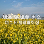 전남 꽃구경 여수세계박람회장 여수 유채꽃 명소 무료입장