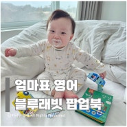 [엄마표영어] 돌전 아기 8개월 아기 책으로 놀기 - 블루래빗 팝업북 - 신나는 탈 것편