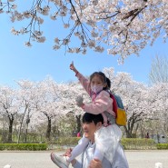 설렜던 서울대공원 벚꽃나들이, 과천현대미술관 다섯발자국숲
