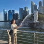 [싱가포르] 계획형 인간의 싱가포르 여행기 마지막 편