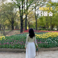 2024 서울숲 튤립축제 서울숲 주차장, 튤립 개화 상황, 위치