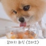 강아지 습식사료 :: 기호성 좋은 화식 '오아오 아침한끼'