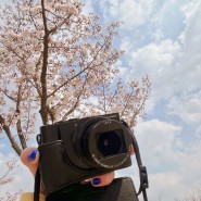 새로운 카메라와 봄의끝자락