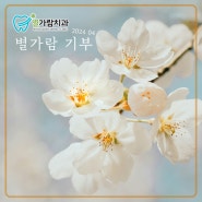 ★별가람치과 2024년 네 번째 기부★