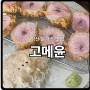 전북 익산 돈가스 맛집 <고메윤> 내돈내산 솔직후기