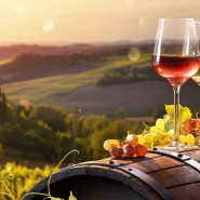 생산량 세계 최고의 와인 대국-이탈리아 4. 2대산지외 레드, 화이트와인, 스푸만테 소개