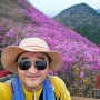 (등산) 경남 창원 - 천주산 (2024.4.6.)