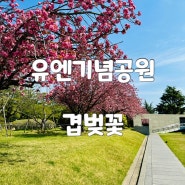 부산 겹벚꽃 명소 유엔기념공원 UN기념공원 토요일 오전 실시간 개화 상황