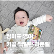 [엄마표영어] 돌전 아기 8개월 아기 책으로 놀기 - 키즈스콜레 맥밀란 퍼스트 시리즈 - 라푼젤편