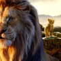 디즈니 영화 무파사 라이온 킹(프리퀄 영화) 시네마콘 영상 설명 공식 이미지