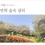 4월 서울 가볼만한곳 서대문 안산 연희동 놀거리 연희숲속쉼터 서울 봄나들이