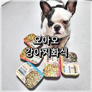 <습식사료> 오아오 강아지화식 기호성좋은사료로 추천!!