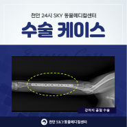 천안강아지골절수술 + 천안24시스카이동물메디컬센터