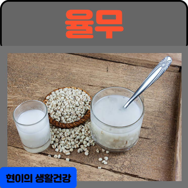 율무의 효능 부작용 율무차 먹는법 칼로리 : 네이버 블로그