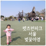 렛츠런파크 서울 벚꽃 아기랑 포니랜드