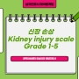 복부외상, 신장 손상, Kidney Injury scale, grade 1-5