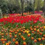 [전주수목원] 봄꽃 가득 아이랑 전주 가볼만한 곳
