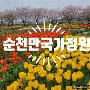 순천만국가정원 순천만습지 관람 후기(4월 6일) 뚜벅이 여행 추천