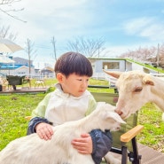 전북 남원 아이와 가볼만한곳 동물체험 희망씨앗농장