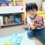 블루래빗토이북 아기교구 아기그림책 포함된 가성비 유아전집