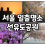 서울 선유도 공원 일출 명소 시간 벚꽃 4월 갈만한곳