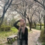 안산 벚꽃 안산호수공원 피크닉 데이트
