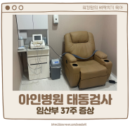 인천아인병원 태동 검사 후기 / 임산부 37주 증상