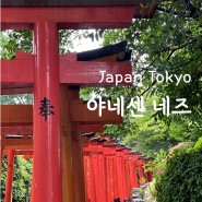 일본 여행 도쿄 가볼만한곳 야네센 네즈 신사 미스터리커피나조야 카페