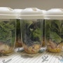 OXO 옥소 야채탈수기 내돈내산 포케 밀프랩 보관 기간 야채 상태