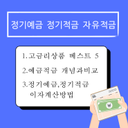 정기예금 정기적금 자유적금 차이 고금리예적금 베스트 5