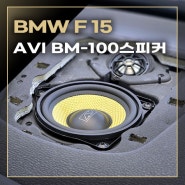 BMW F15 X5 AVI BM 100 센터 스피커 튜닝 스피커 튜닝의 꿀팁