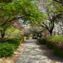 서울 봄 나들이 가기 좋은 한강 선유도공원 가는방법, 한강 피크닉 장소로 좋아요~