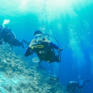 세부 펀다이빙 샵 뉴그랑블루 다이빙 포인트 후기