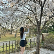 시흥 벚꽃 명소 옥구공원 포토존