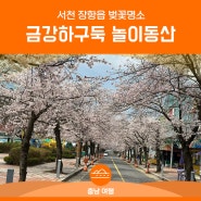 서천 장항읍 벚꽃명소 금강하구둑 놀이동산