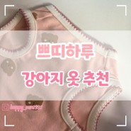 애견의류 강아지옷 쇼핑몰 추천/봄옷 여름옷 예쁜 곳 쁘띠하루