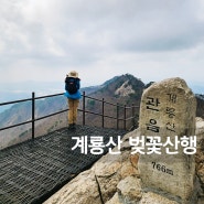 벚꽃 산행 충남 공주 계룡산 등산코스 관음봉 자연성릉 삼불봉 남매탑