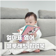 [엄마표영어] 돌전 아기 8개월 아기 책으로 놀기 - 블루래빗 팝업북 - 귀여운 동물 친구편