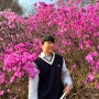 부천 원미산 진달래 개화 시기 꽃구경(+주차, 축제)