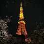 [도쿄 여행] 아자부다이힐스 전망대 가는법｜너무 아름다워서 공유하는 “도쿄타워”
