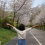 서울 상암 하늘공원 벚꽃 구경하러 나들이 다녀왔어요