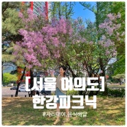 [서울 여의도] 한강 공원 피크닉 정보+돗자리 대여+음식 배달