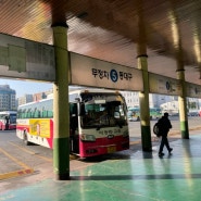 포항 시외버스터미널 시간표 및 요금 그리고 분식집