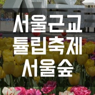 서울근교 튤립축제 서울숲 튤립 만개 튤립정원 지금보러가야해요!!