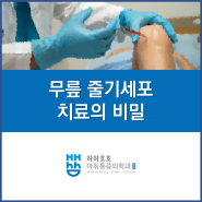수완지구/광산구 정형외과 무릎 줄기세포 치료의 비밀