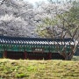 한국의 봄을 만끽할 수 있는 곳, 진천 길상사